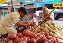 करौली में क्यों बढ़ रही अलवर के लाल प्याज की मांग? रोजाना 160 क्विंटल पहुंच रही खेप