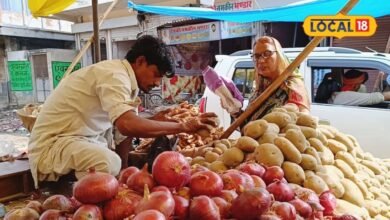 करौली में क्यों बढ़ रही अलवर के लाल प्याज की मांग? रोजाना 160 क्विंटल पहुंच रही खेप