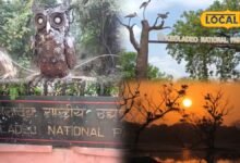 केवलादेव नेशनल पार्क में वेस्ट मटेरियल से बनाई जा रहीं आकर्षक कलाकृतियां, पर्यटकों को खूब भा रही