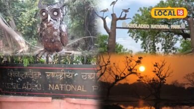 केवलादेव नेशनल पार्क में वेस्ट मटेरियल से बनाई जा रहीं आकर्षक कलाकृतियां, पर्यटकों को खूब भा रही