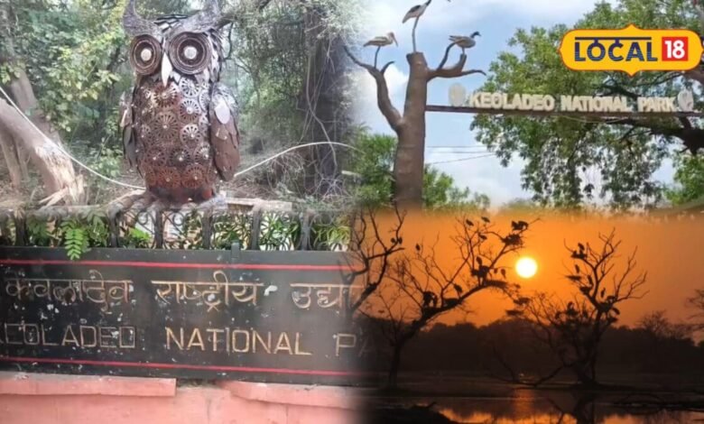 केवलादेव नेशनल पार्क में वेस्ट मटेरियल से बनाई जा रहीं आकर्षक कलाकृतियां, पर्यटकों को खूब भा रही