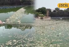 गायब हुई दीवारें, कचरे से प्रदूषित हुआ पानी और बढ़ा बड़ा हादसा होने का खतरा