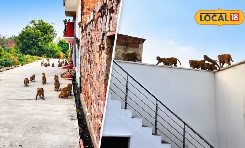 घरों में तोड़फोड़ और हमलों से सहमे लोग, शिकायतों के बाद भी प्रशासन बेखबर