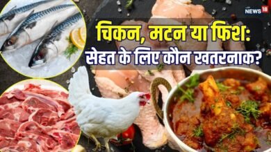 चिकन, मटन या फिश: सेहत के लिए कौन-सा नॉनवेज सबसे अधिक खतरनाक? पकाते-धोते वक्त भूलकर भी न करें ये गलती