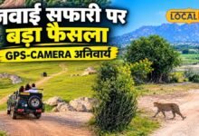 जवाई सफारी में बदलाव, हर वाहन में GPS और डैशबोर्ड कैमरा जरूरी, नियम तोड़ा तो रद्द होगा लाइसेंस