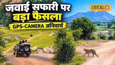 जवाई सफारी में बदलाव, हर वाहन में GPS और डैशबोर्ड कैमरा जरूरी, नियम तोड़ा तो रद्द होगा लाइसेंस