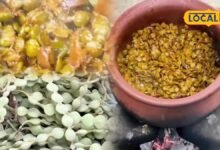 दादी-नानी के जमाने का जायका: जिस बबूल को देखते हैं पेड़ समझकर, उसके पत्तों से बनती है मारवाड़ की यह खास सब्जी