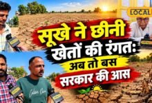 'दिवाली पर बच्चों के नए कपड़ों का सपना टूटा', राजस्थान में सूखे से खरीफ फसल बर्बाद