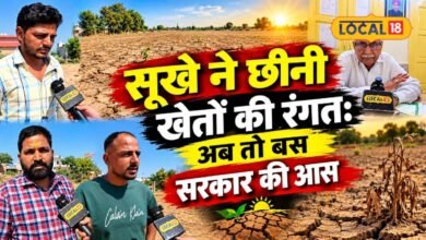 'दिवाली पर बच्चों के नए कपड़ों का सपना टूटा', राजस्थान में सूखे से खरीफ फसल बर्बाद