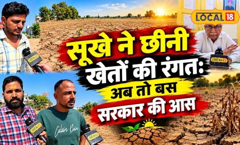 'दिवाली पर बच्चों के नए कपड़ों का सपना टूटा', राजस्थान में सूखे से खरीफ फसल बर्बाद