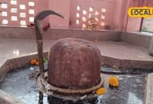 धौलपुर के तीर्थराज मचकुंड में पीलू के पेड़ के नीचे विराजमान हैं भूतेश्वर महादेव, भगवान श्रीकृष्ण से जुड़ी है इसकी पौराणिक मान्यता