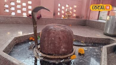 धौलपुर के तीर्थराज मचकुंड में पीलू के पेड़ के नीचे विराजमान हैं भूतेश्वर महादेव, भगवान श्रीकृष्ण से जुड़ी है इसकी पौराणिक मान्यता