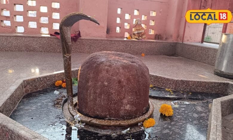 धौलपुर के तीर्थराज मचकुंड में पीलू के पेड़ के नीचे विराजमान हैं भूतेश्वर महादेव, भगवान श्रीकृष्ण से जुड़ी है इसकी पौराणिक मान्यता