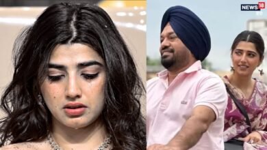 प्रेग्नेंसी, अबॉर्शन और 5 Cr… बिग बॉस 20 की लव गिल के पुराने विवाद ने फिर पकड़ा तूल, 55 साल के एक्टर संग था अफेयर?