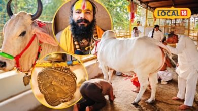 ब्रज के इस धाम में क्यों खिंचे चले आते हैं साधु-संत? कामधेनु गौमाता से जुड़ी है गहरी आस्था