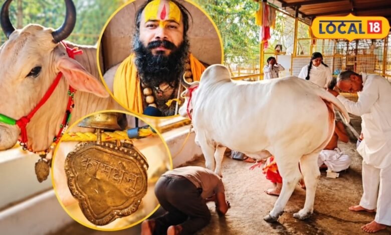 ब्रज के इस धाम में क्यों खिंचे चले आते हैं साधु-संत? कामधेनु गौमाता से जुड़ी है गहरी आस्था