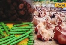 मेवात की गौशालाओं में गाय के गोबर, मूत्र और दूध से बन रहे घरेलू उत्पाद, भरतपुर से दिल्ली तक बढ़ रही मांग