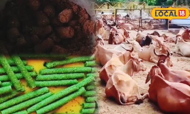 मेवात की गौशालाओं में गाय के गोबर, मूत्र और दूध से बन रहे घरेलू उत्पाद, भरतपुर से दिल्ली तक बढ़ रही मांग