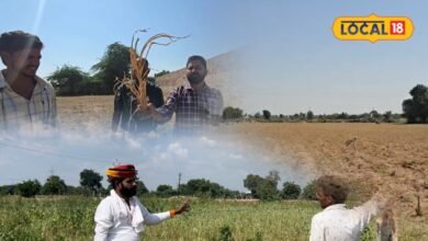 राजस्थान के 13 जिलों की 53 तहसीलें सूखाग्रस्त घोषित, किसानों को कितना मुआवजा मिलेगा और क्लेम के लिए क्या करना होगा?