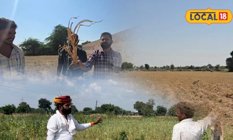 राजस्थान के 13 जिलों की 53 तहसीलें सूखाग्रस्त घोषित, किसानों को कितना मुआवजा मिलेगा और क्लेम के लिए क्या करना होगा?