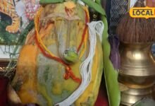 राजस्थान के इस घर में पपीते के फल में दिखे गणेशजी; तस्वीर वायरल होते ही दर्शन के लिए पहुंचने लगे लोग