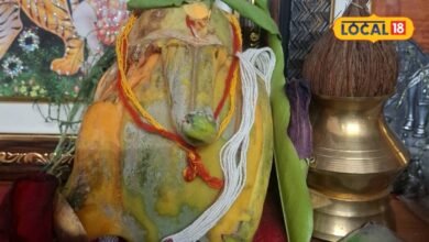 राजस्थान के इस घर में पपीते के फल में दिखे गणेशजी; तस्वीर वायरल होते ही दर्शन के लिए पहुंचने लगे लोग