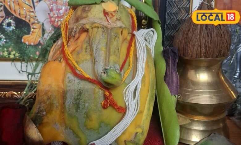 राजस्थान के इस घर में पपीते के फल में दिखे गणेशजी; तस्वीर वायरल होते ही दर्शन के लिए पहुंचने लगे लोग