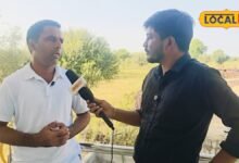 राजस्थान के कई जिलों में खाद का संकट; लेकिन शेखावाटी में क्यों नहीं बढ़ी DAP की मांग?