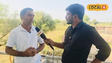 राजस्थान के कई जिलों में खाद का संकट; लेकिन शेखावाटी में क्यों नहीं बढ़ी DAP की मांग?